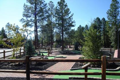 PVC at The Roundhouse Resort By Diamond Resorts - image 18