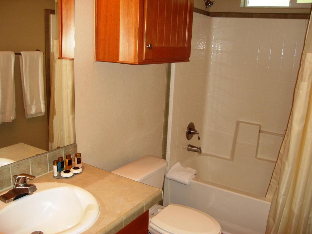 PVC at The Roundhouse Resort By Diamond Resorts - image 3