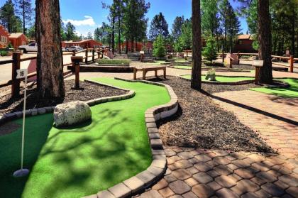 PVC at The Roundhouse Resort By Diamond Resorts - image 6