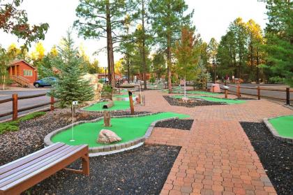 PVC at The Roundhouse Resort By Diamond Resorts - image 7