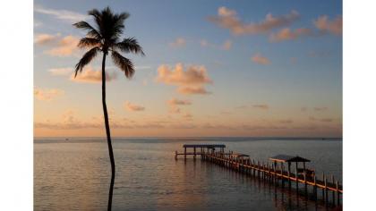 Cheeca Lodge & Spa - image 1