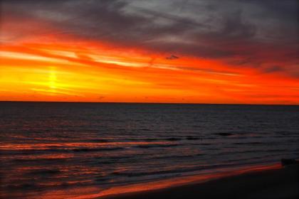 Shoreline Island Resort - Exclusively Adult - image 5