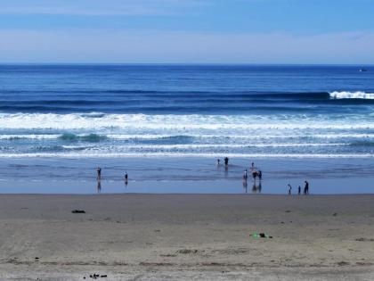 Driftwood Shores Resort - image 13