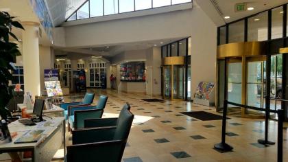 Wyndham Orlando Resort & Conference Center Celebration Area - image 10