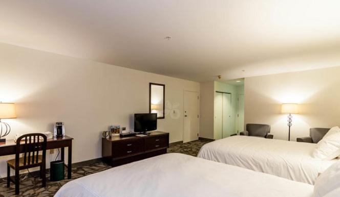Grand Summit Hotel at Attitash - image 5