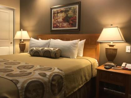 The Oasis Resort - image 10