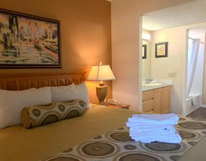 The Oasis Resort - image 12