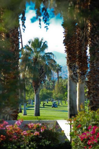 Shadow Mountain Resort & Club - image 12