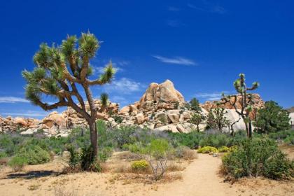 DoubleTree by Hilton Golf Resort Palm Springs - image 12