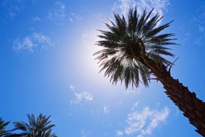 DoubleTree by Hilton Golf Resort Palm Springs - image 20