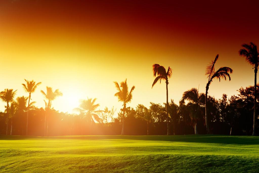 DoubleTree by Hilton Golf Resort Palm Springs - image 5