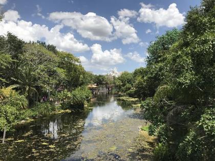 Disney's Yacht Club Resort - image 19