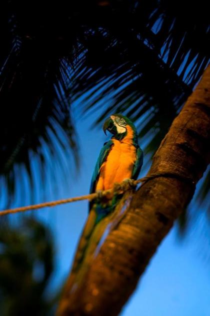 Hyatt Centric Key West Resort & Spa - image 19
