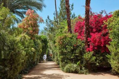 Parker Palm Springs - image 16