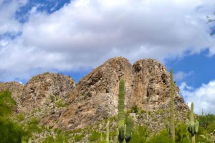 Gold Canyon Golf Resort - image 7