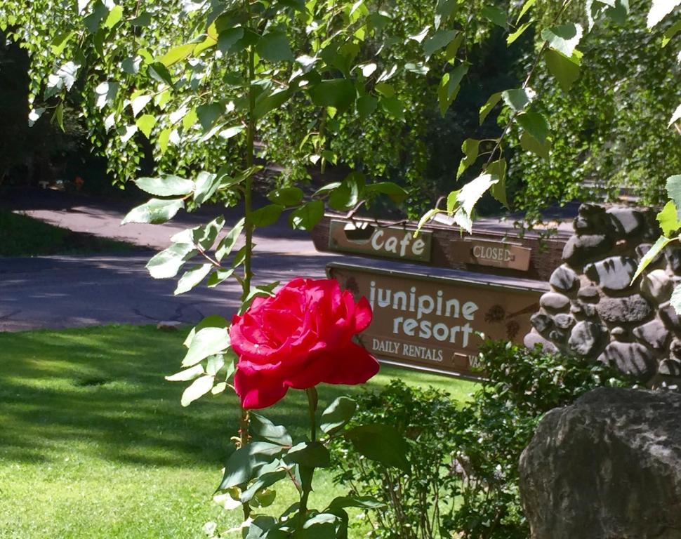 Junipine Resort - main image