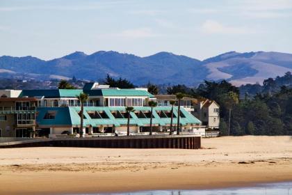 SeaVenture Beach Hotel - image 5