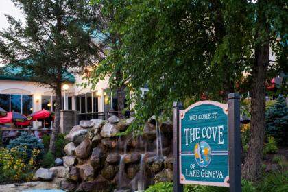 The Cove of Lake Geneva - image 15