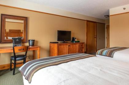 Caribou Highlands Lodge - image 3