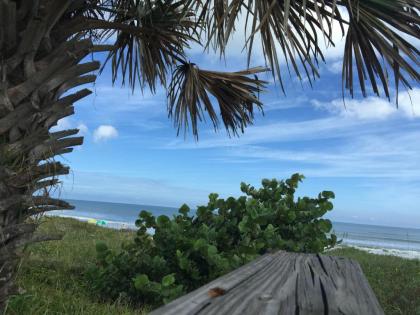 Coral Sands Inn - image 11