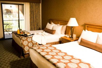Borrego Springs Resort and Spa - image 14