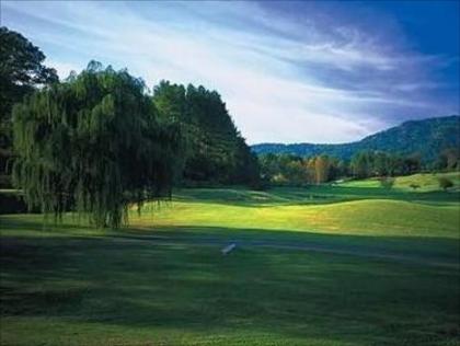Wyndham Resort at Fairfield Mountains - image 14
