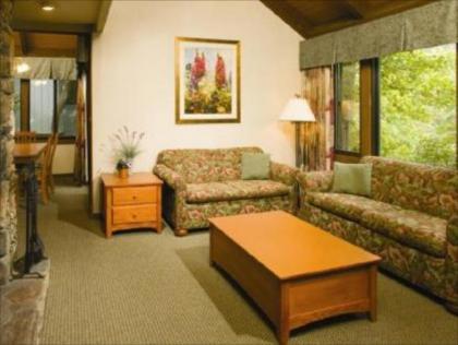 Wyndham Resort at Fairfield Mountains - image 2