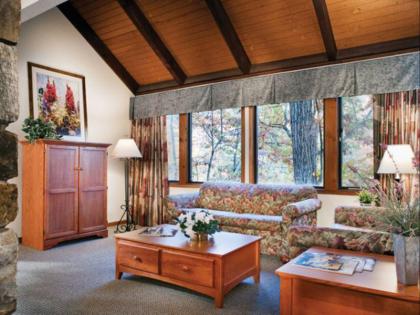 Wyndham Resort at Fairfield Mountains - image 20