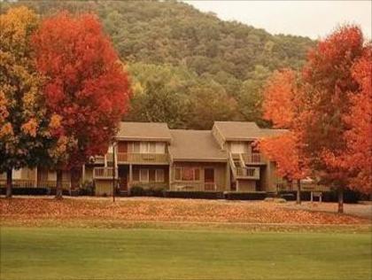 Wyndham Resort at Fairfield Mountains - image 4