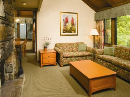 Wyndham Resort at Fairfield Mountains - image 6