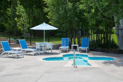 Lithia Springs Resort - image 20