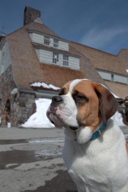 Timberline Lodge - image 13