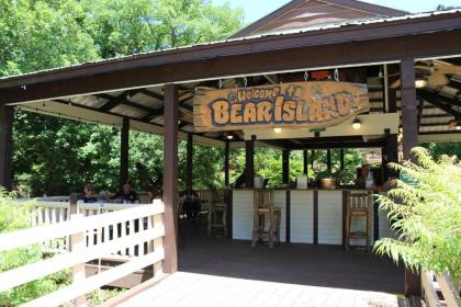 Grand Bear Resort at Starved Rock - image 10
