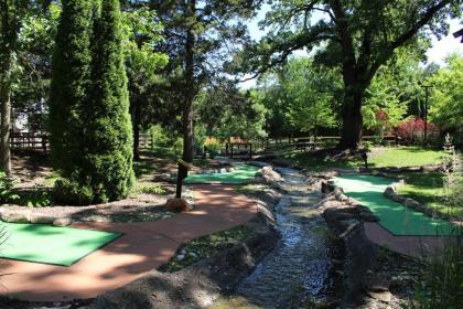 Grand Bear Resort at Starved Rock - image 5