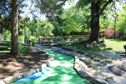 Grand Bear Resort at Starved Rock - image 6