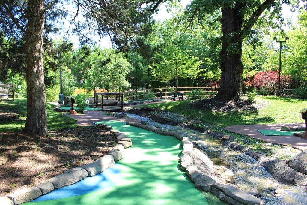 Grand Bear Resort at Starved Rock - image 6