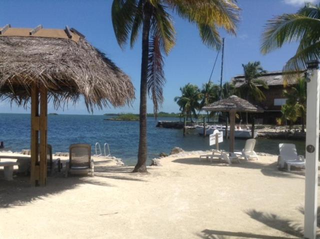 Blackfin Resort and Marina - main image