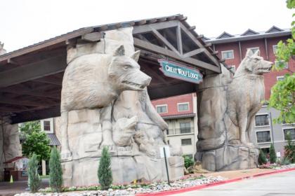 Great Wolf Lodge Grapevine - image 20