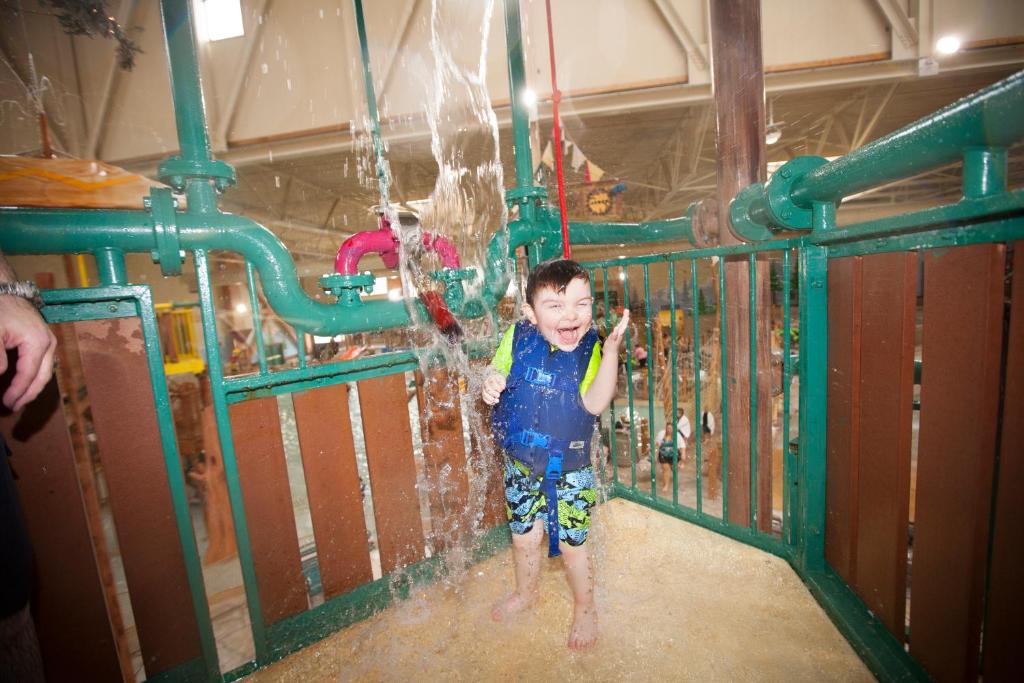 Great Wolf Lodge Grapevine - image 5