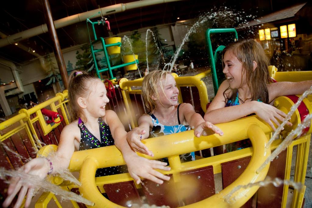 Great Wolf Lodge Grapevine - image 6