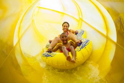 Great Wolf Lodge Grapevine - image 9