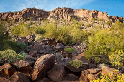The Canyon Suites at The Phoenician a Luxury Collection Resort Scottsdale - image 16