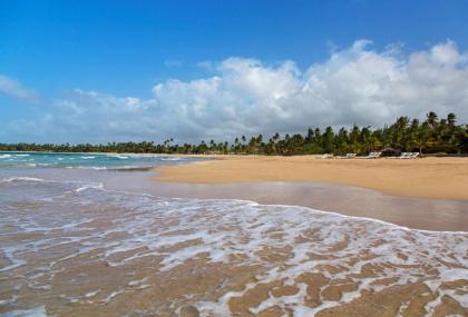 St. Regis Bahia Beach Resort Puerto Rico - image 9