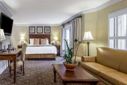 Westward Look Wyndham Grand Resort & Spa - image 16