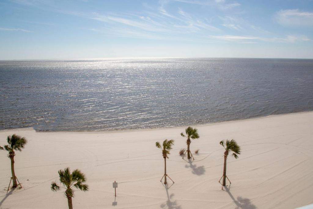 South Beach Biloxi Hotel & Suites - image 3