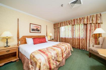 Stoweflake Mountain Resort & Spa - image 10