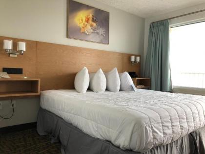 Radisson Hotel Panama City Beach - Oceanfront - image 9