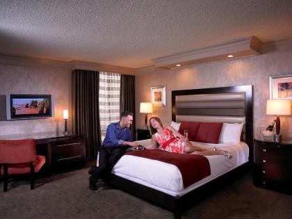 TI - Treasure Island Hotel & Casino - image 16