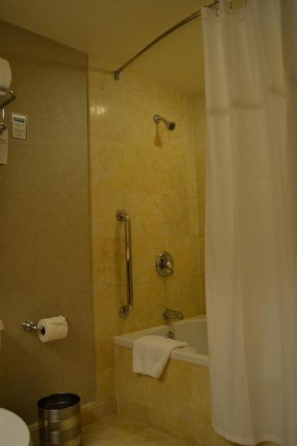 TI - Treasure Island Hotel & Casino - image 2