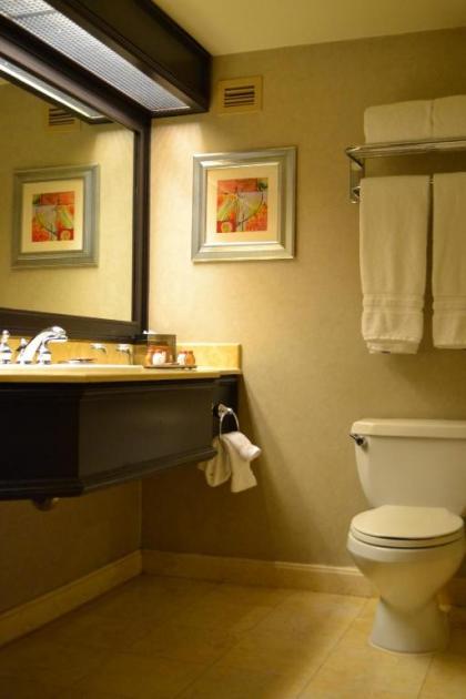 TI - Treasure Island Hotel & Casino - image 3